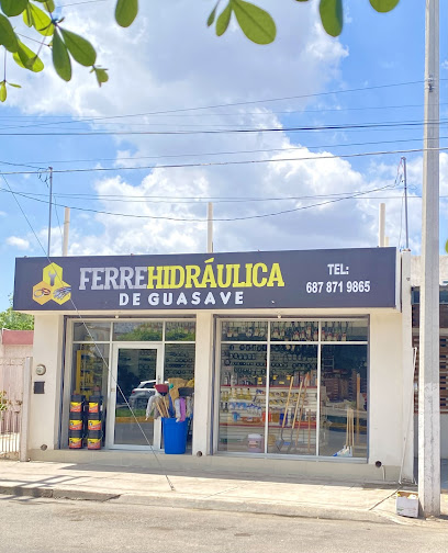 Negocio Ferrehidráulica De Guasave