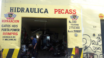 Negocio Hidraulica Pecass