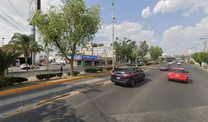 Negocio Montacargasypatinesqueretaro